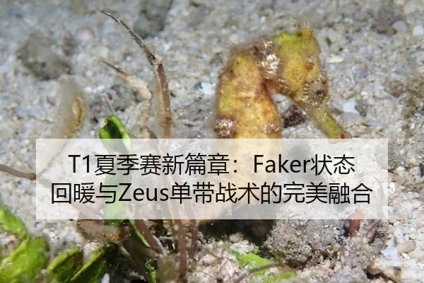 T1夏季赛新篇章：Faker状态回暖与Zeus单带战术的完美融合