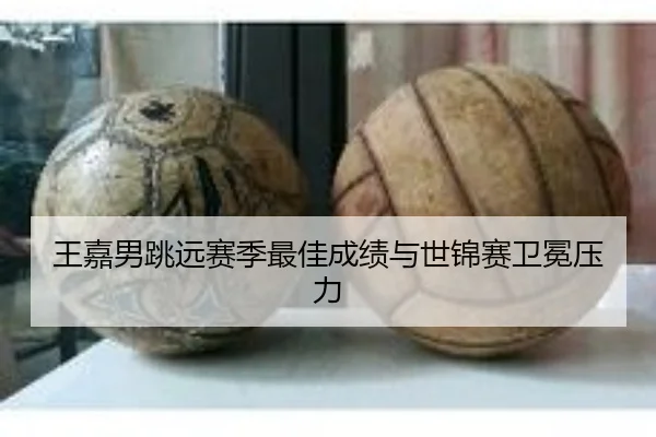 王嘉男跳远赛季最佳成绩与世锦赛卫冕压力